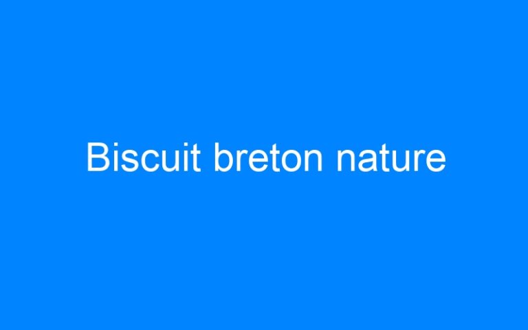 Lire la suite à propos de l’article Biscuit breton nature