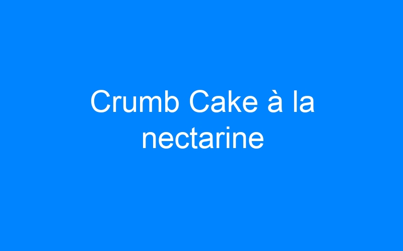 Lire la suite à propos de l’article Crumb Cake à la nectarine