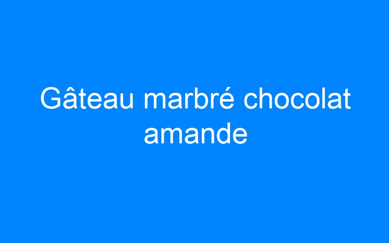 You are currently viewing Gâteau marbré chocolat amande
