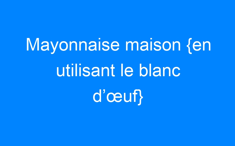 You are currently viewing Mayonnaise maison {en utilisant le blanc d’œuf}