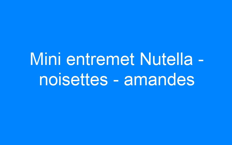 Mini entremet Nutella – noisettes – amandes