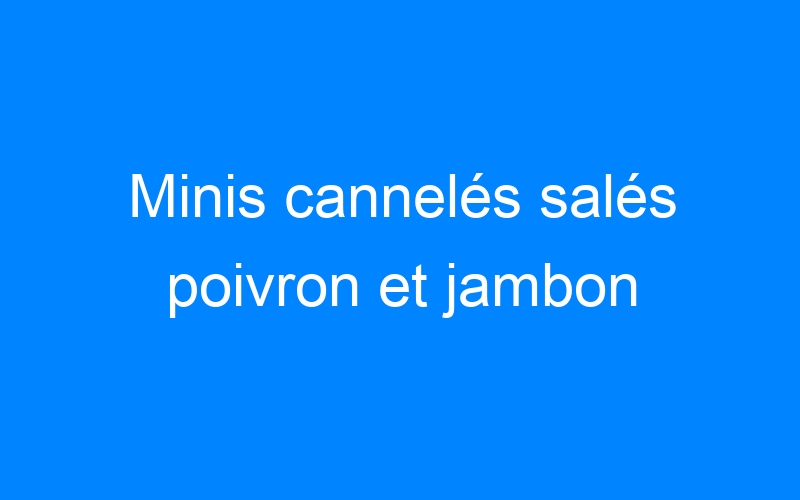 You are currently viewing Minis cannelés salés poivron et jambon