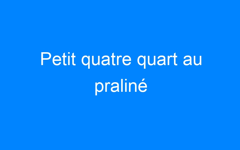 You are currently viewing Petit quatre quart au praliné